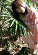 Shirouto Nana - Fotosbiaca Ebony Asstwerk P9 No.c4911e